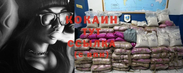 спиды Богородск
