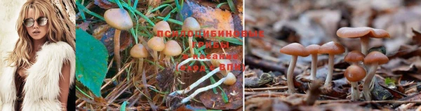 мяу мяу мука Богородицк