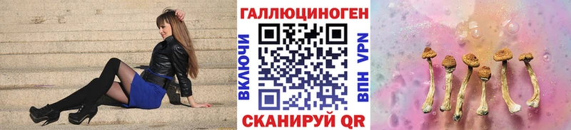 Галлюциногенные грибы GOLDEN TEACHER  хочу наркоту  Будённовск 