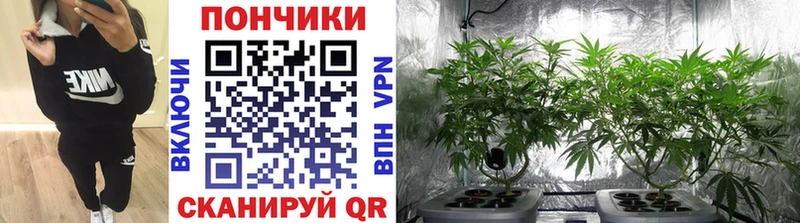 Конопля Ganja  Будённовск 